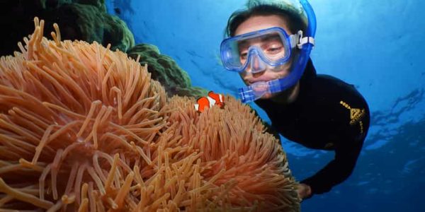 Petualangan Bawah Laut: Snorkeling dan Menyelam di Great Barrier Reef